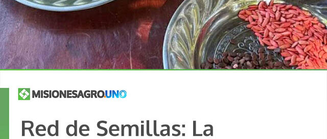 Red de Semillas: La esperanza en movimiento desde el territorio misionero